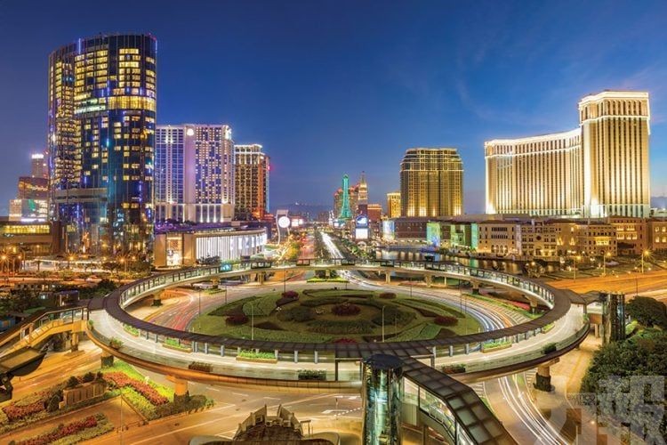 料今年收入增長優於市場預期