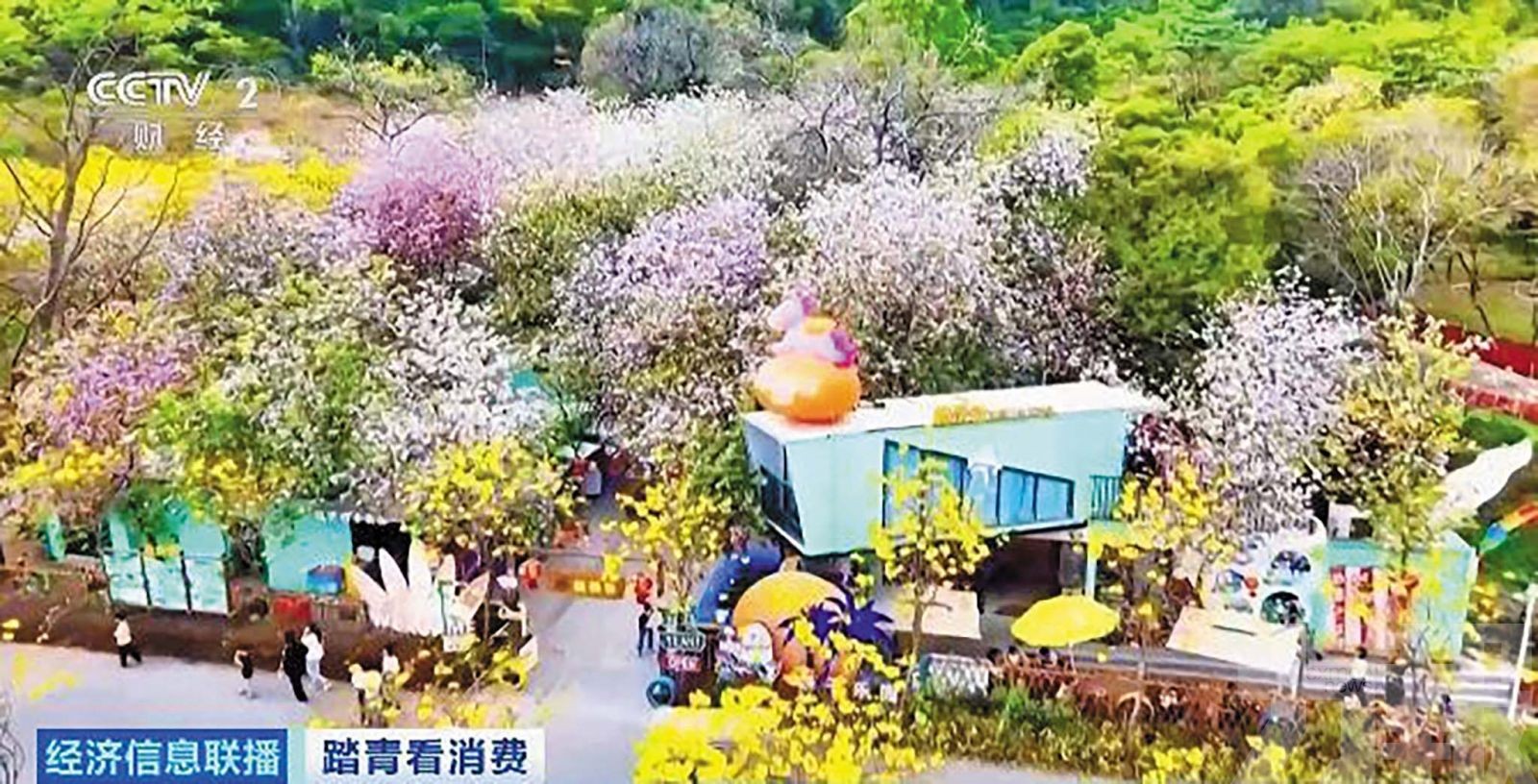 清明跨境人流爆發