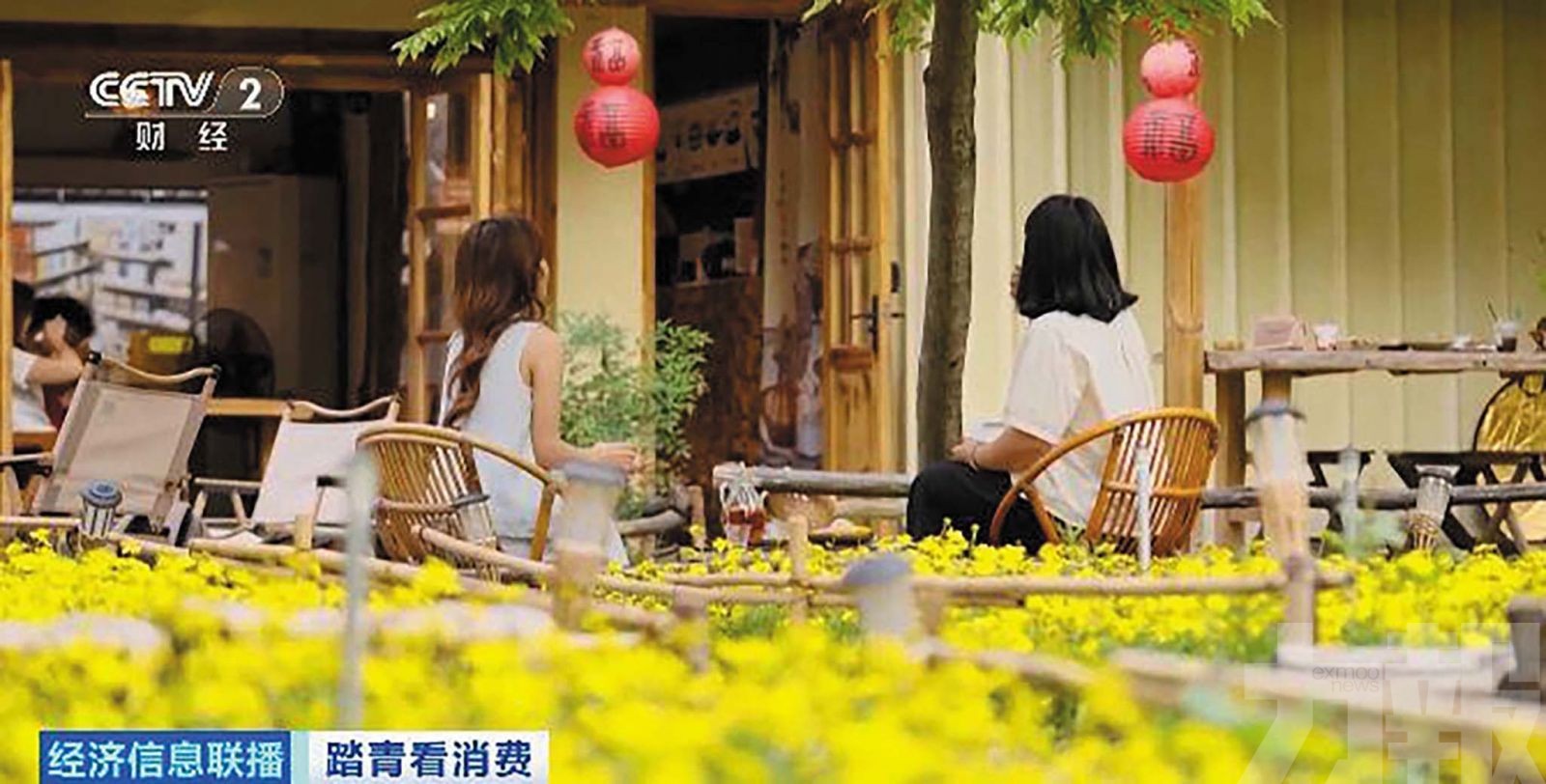 清明跨境人流爆發