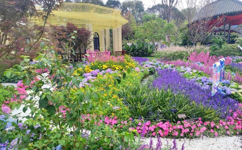 市政署獲粵港澳大灣區花園大賽金獎及最佳特色獎