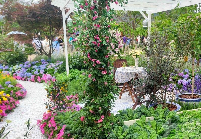 市政署獲粵港澳大灣區花園大賽金獎及最佳特色獎