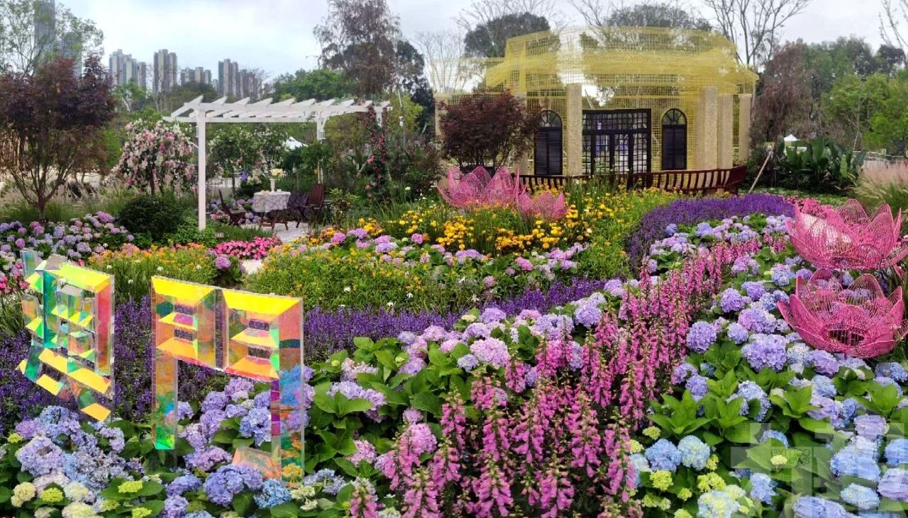 市政署獲粵港澳大灣區花園大賽金獎及最佳特色獎