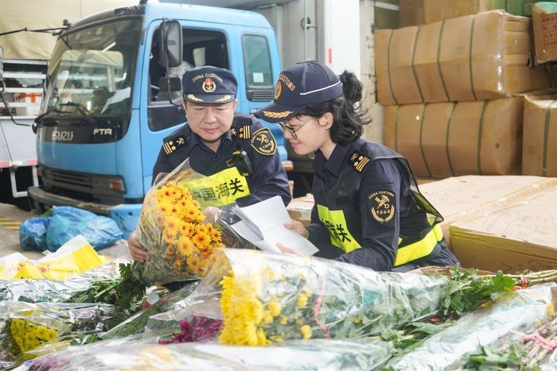 拱北海關綠色通道保時效