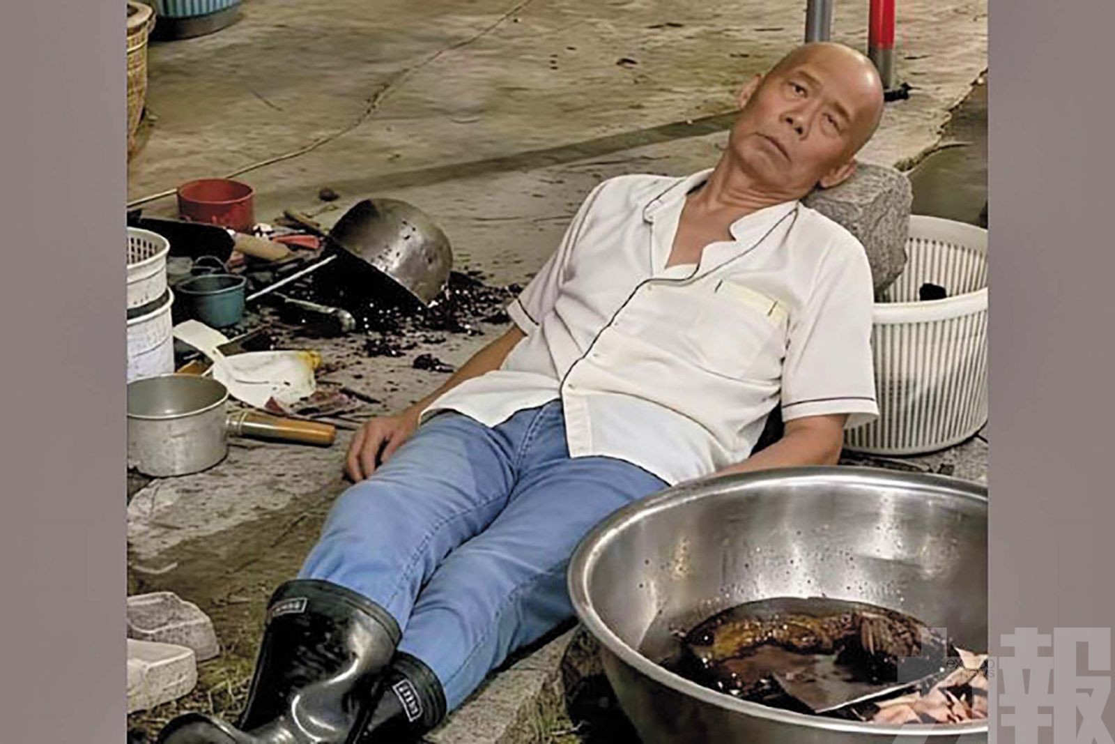 養殖業者千隻土雞增援