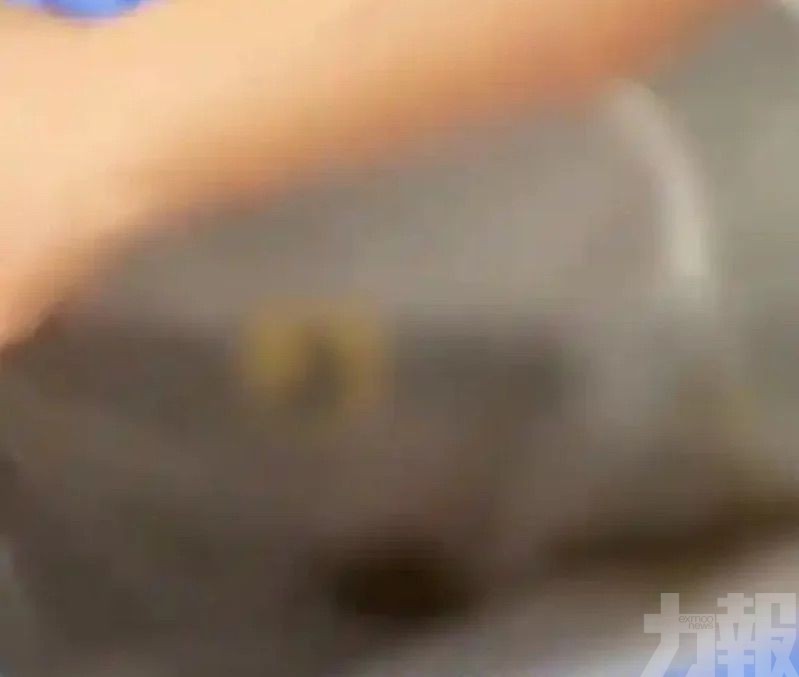 女客裸湯撈出多塊「排泄物」