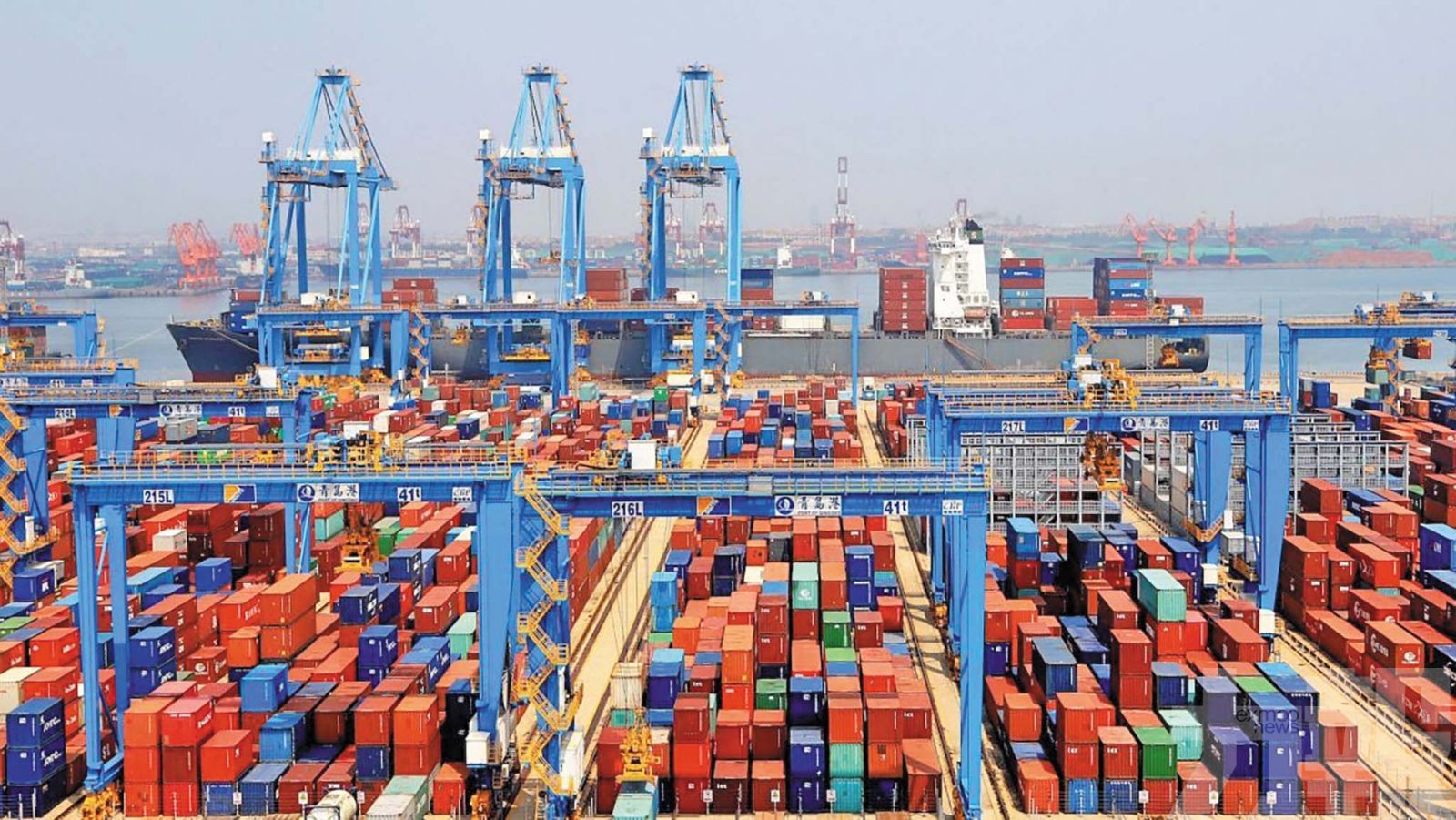 同比增長19.4%創歷史新高