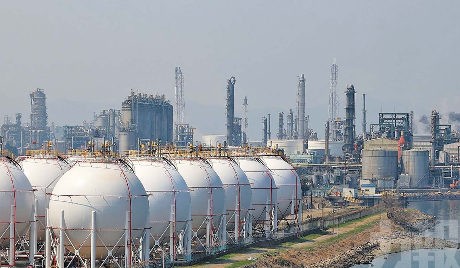 辛拉麵或陷「有麵無袋」危機