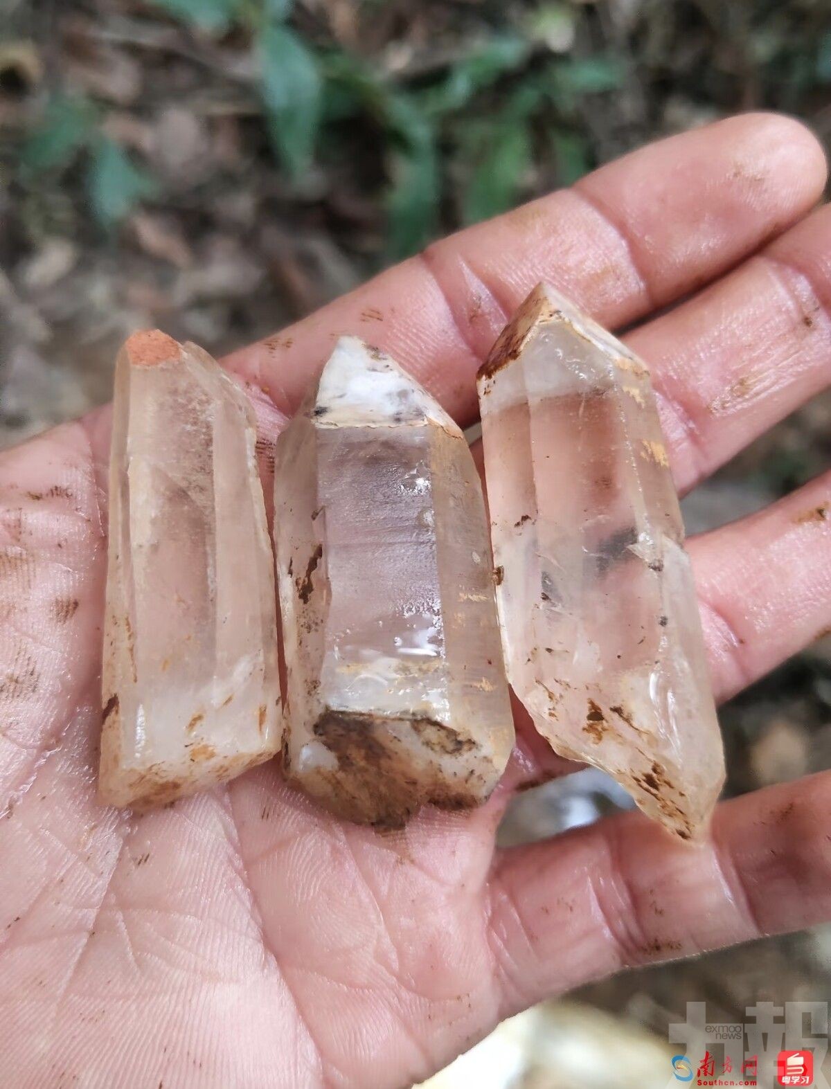 當局叫停並追責