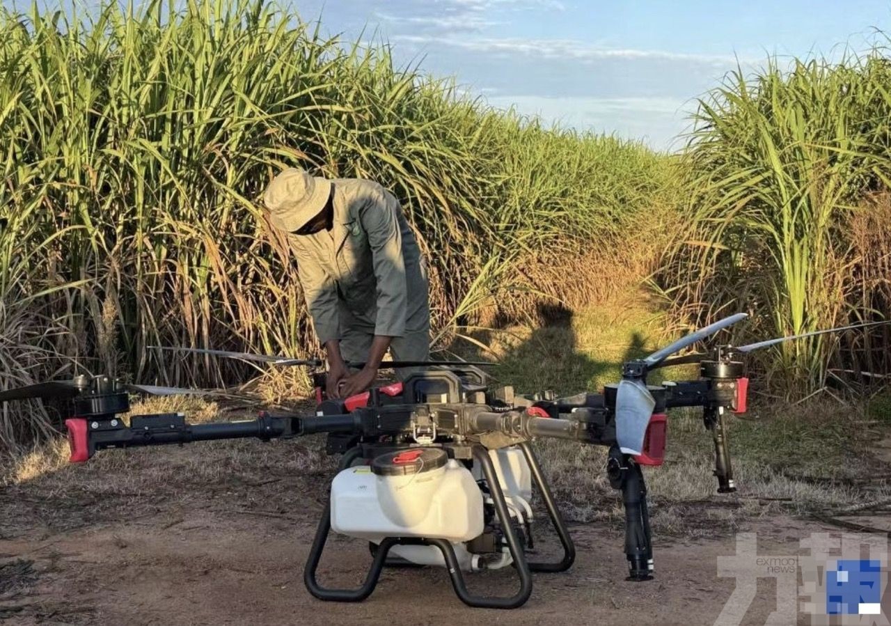 路人遭爆頭身亡