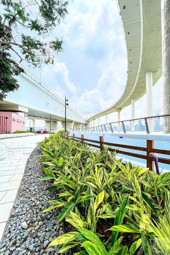 南岸海濱綠廊二期二區今起開放使用