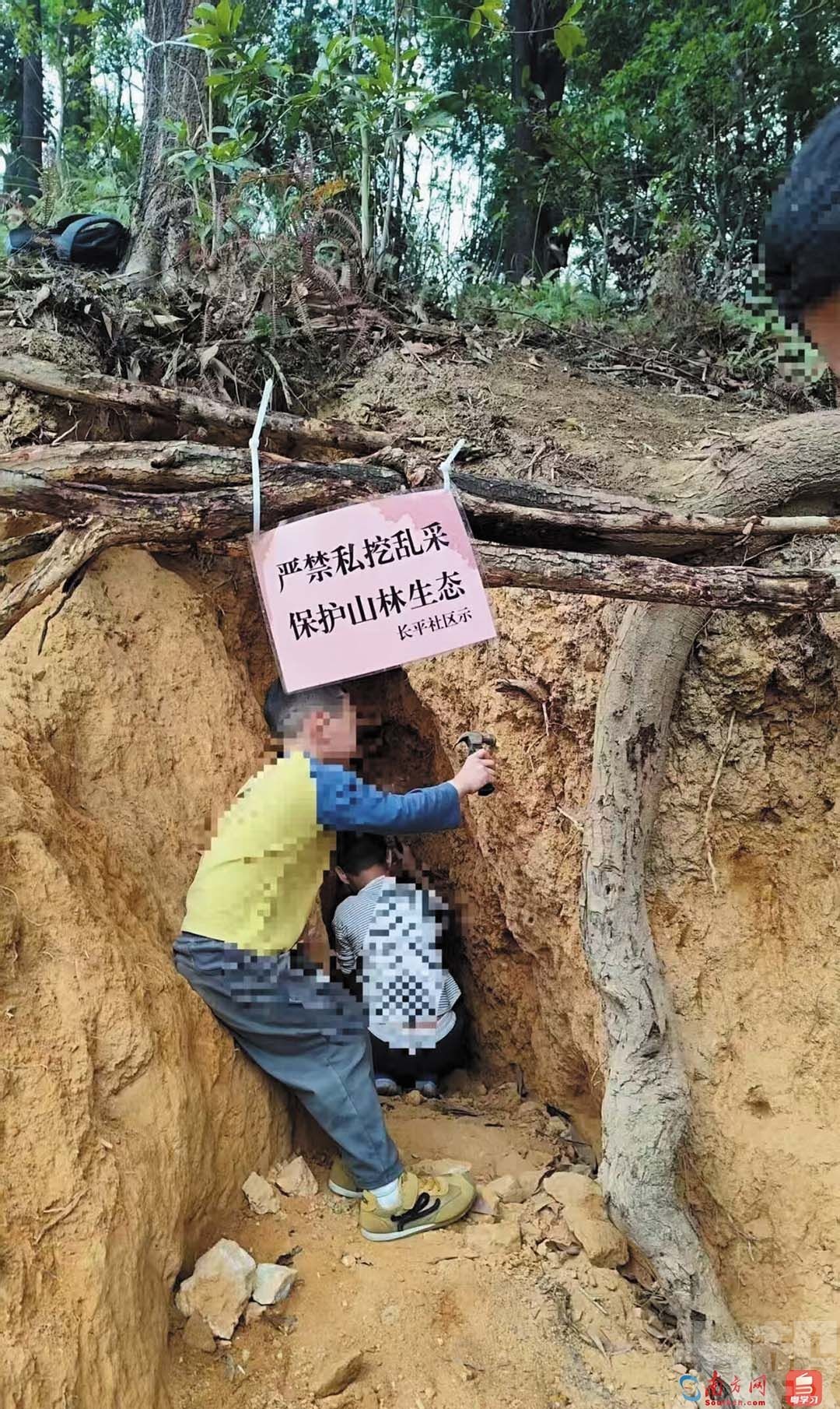 當局叫停並追責