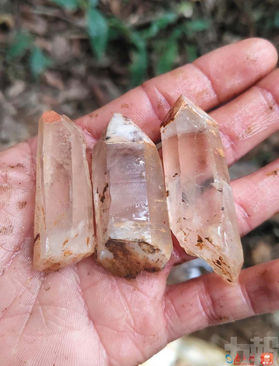 當局叫停並追責