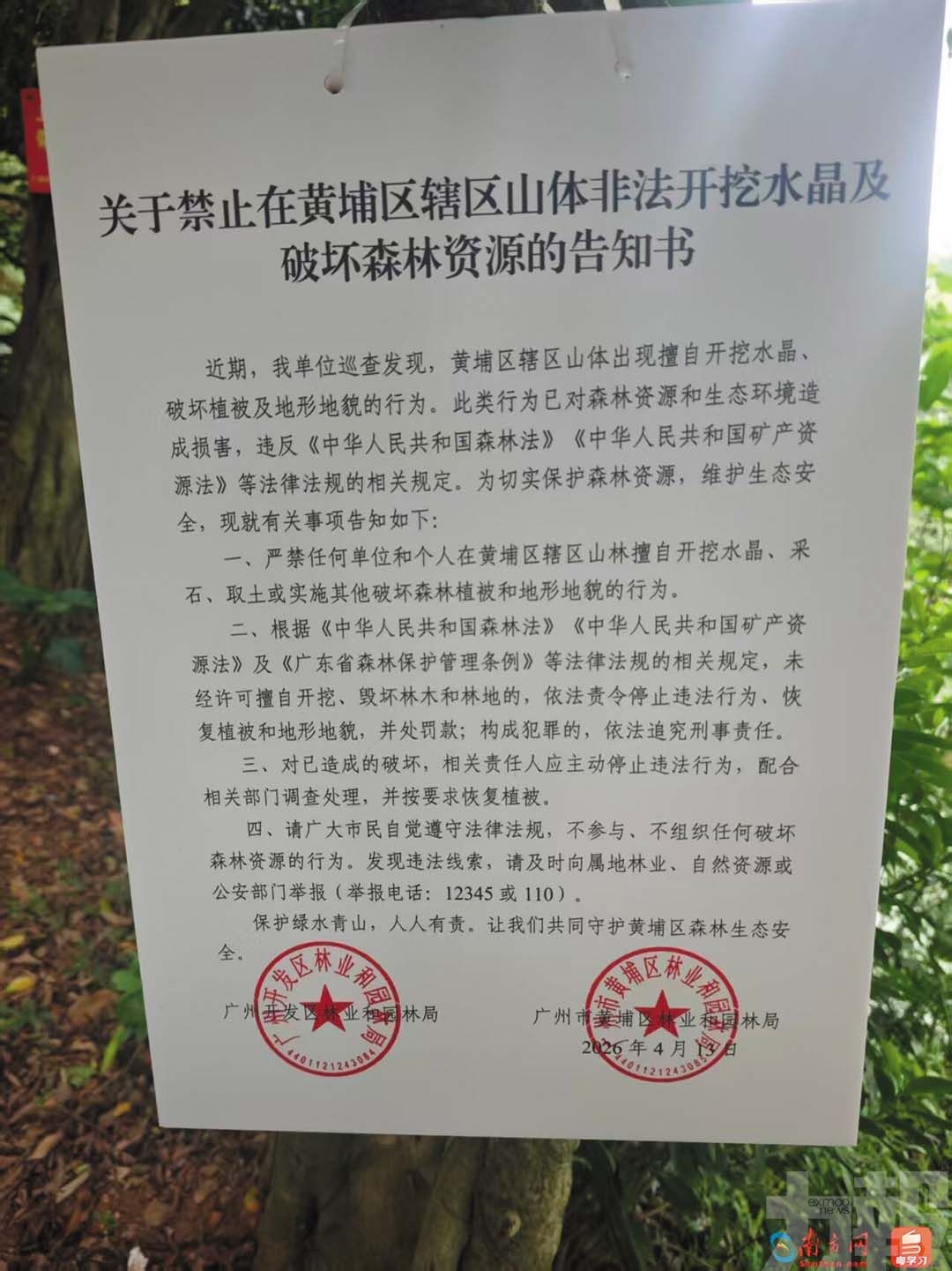 當局叫停並追責