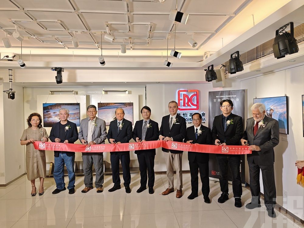 廿六幀駿馬佳作迎馬年 內蒙四季馬群盡收鏡頭