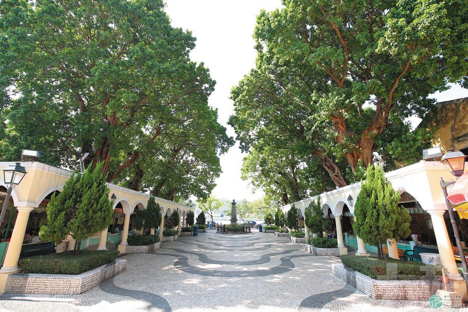 路氹海洋文化的守望與重塑