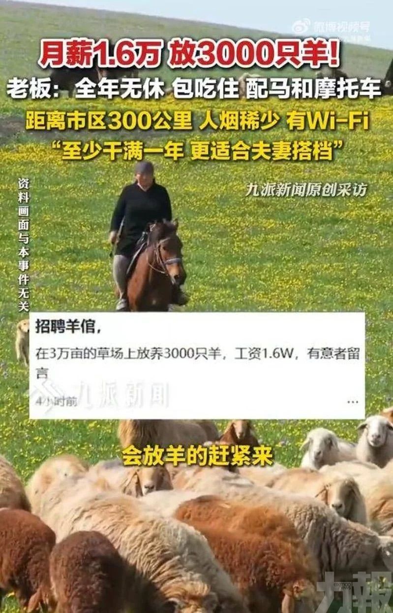 月薪1.6萬背後苦況曝光