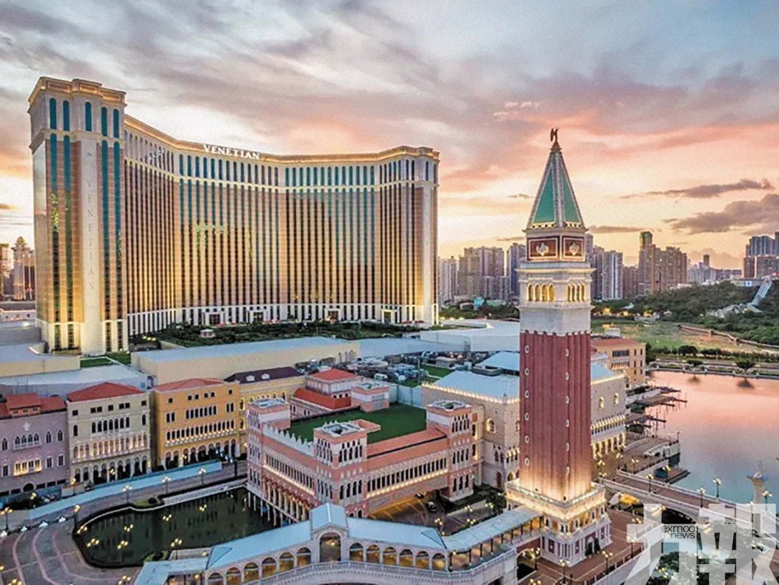 新產品推動參與度提升