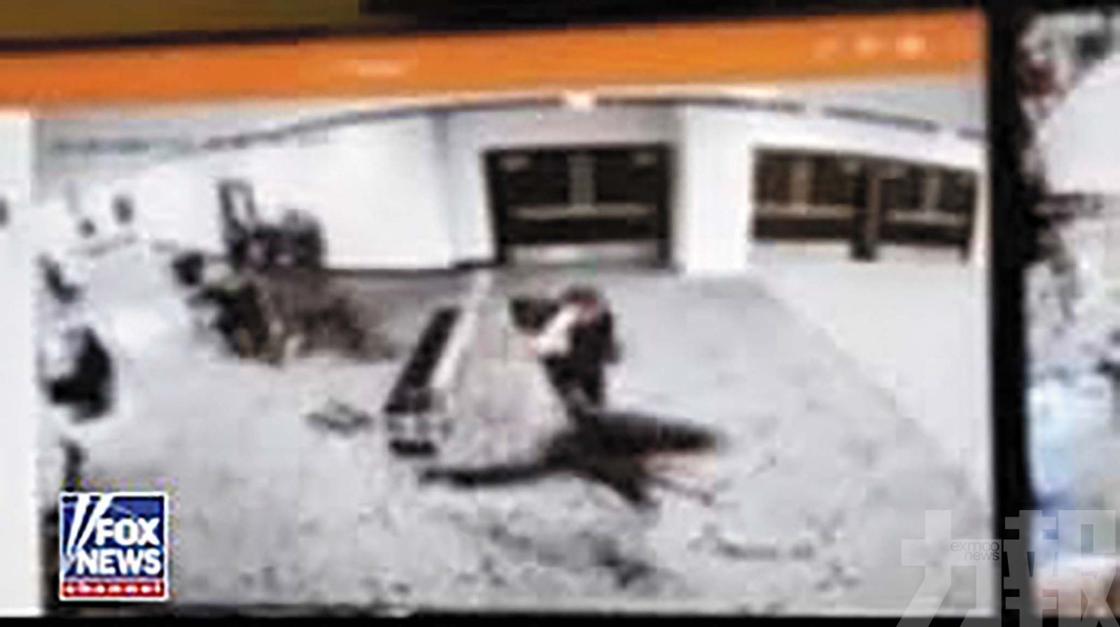 孤狼槍手被捕目標擊殺政府官員