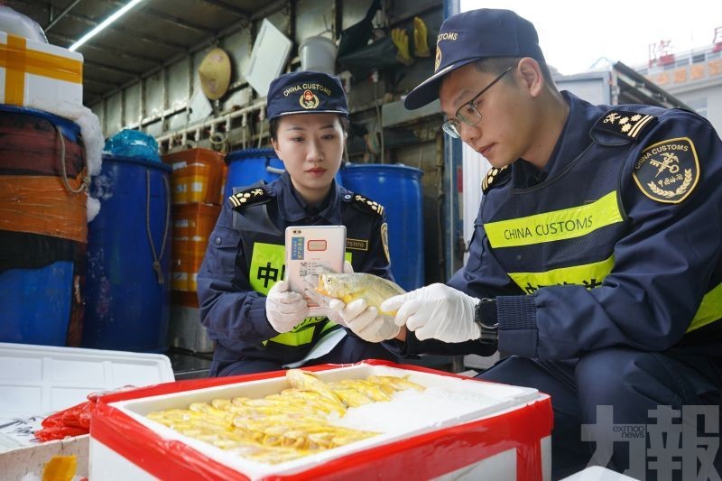 「三聯三同」助力灣區一體化
