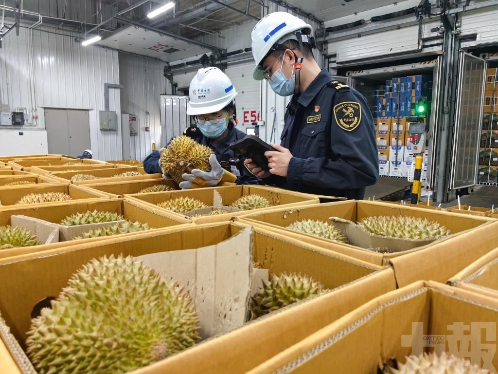 南沙24小時到港逾6,300噸