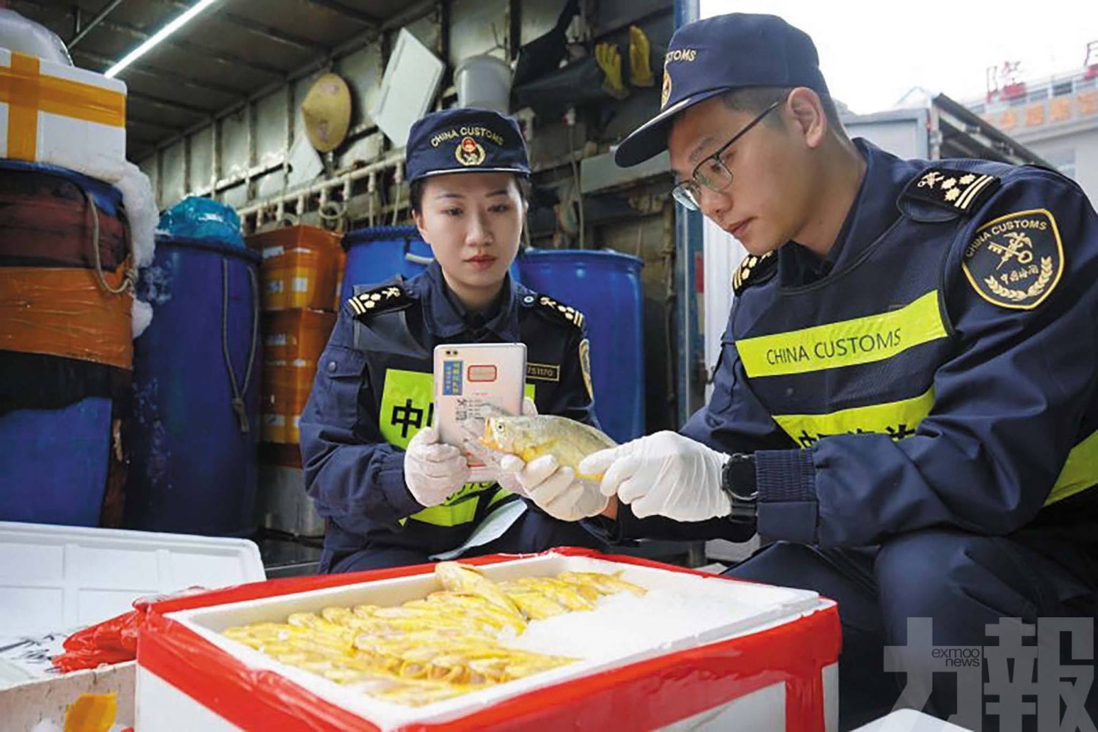 「三聯三同」助力灣區一體化
