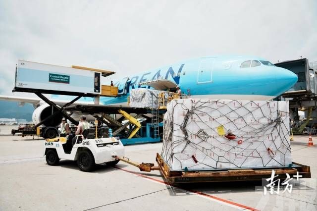 鮮活快線擴展打造大灣區「綠色通道」