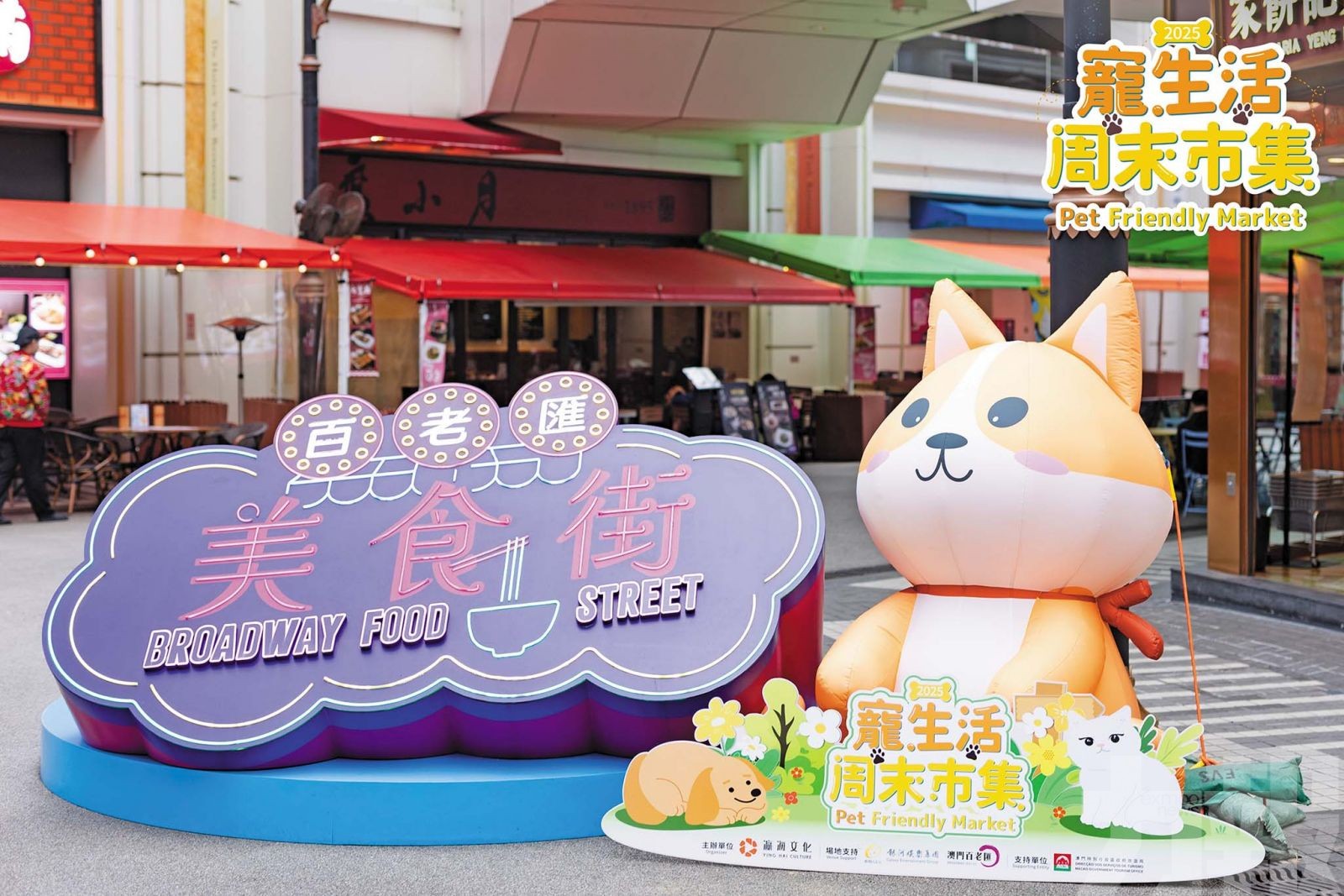 毛孩子變裝萌翻天促文旅融合