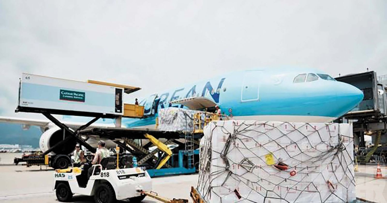 鮮活快線擴展打造大灣區「綠色通道」