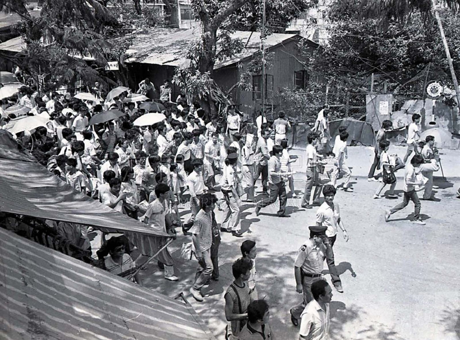 內地自由行如何改變澳門