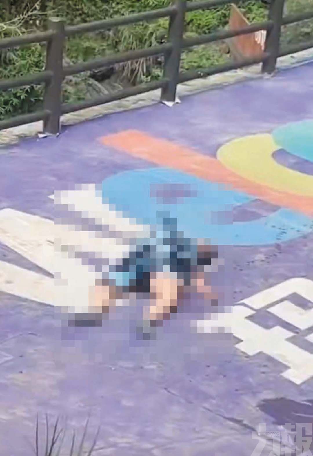 16歲女玩高空項目墜亡
