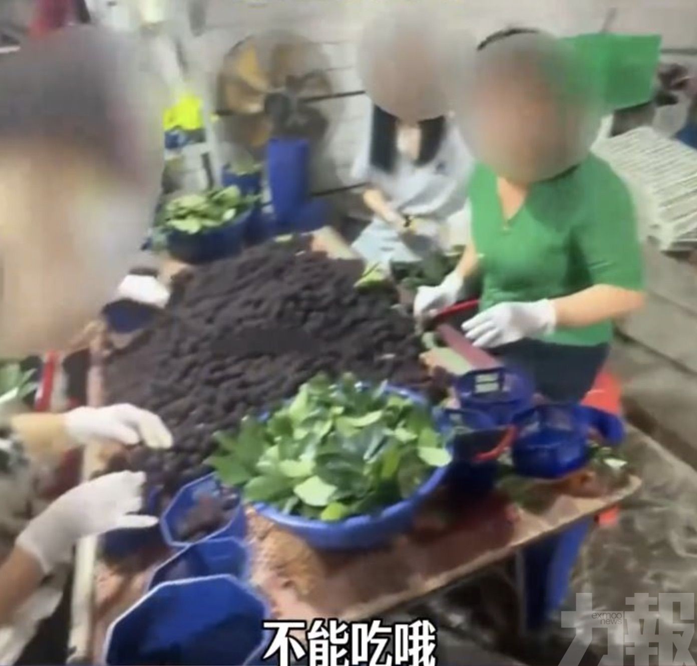 工人稱「自己也不敢吃」