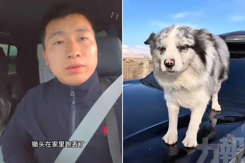主人崩潰拒和解