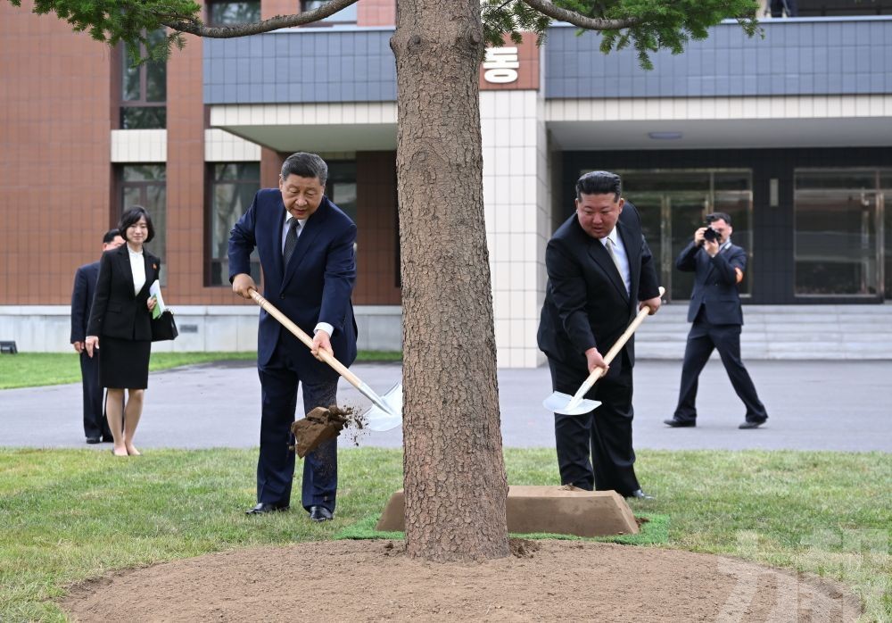 攜手維護國際公平正義
