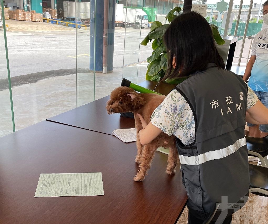 今日起免合資格犬貓強制隔離