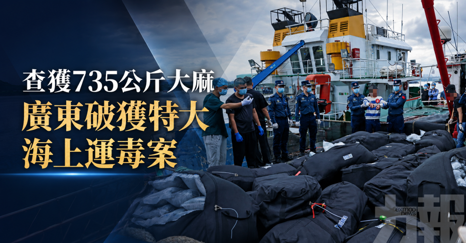 查獲735公斤大麻