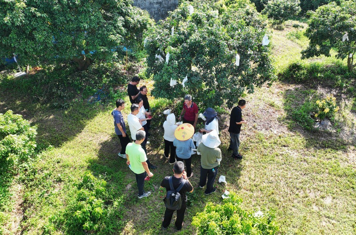 獲香港認證助攻灣區市場