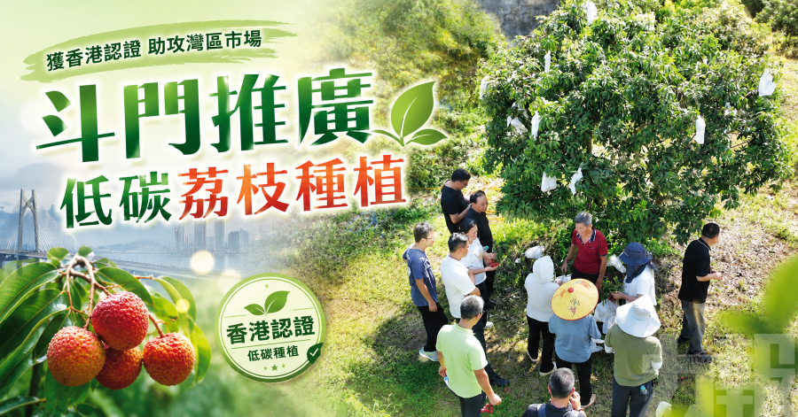 獲香港認證助攻灣區市場