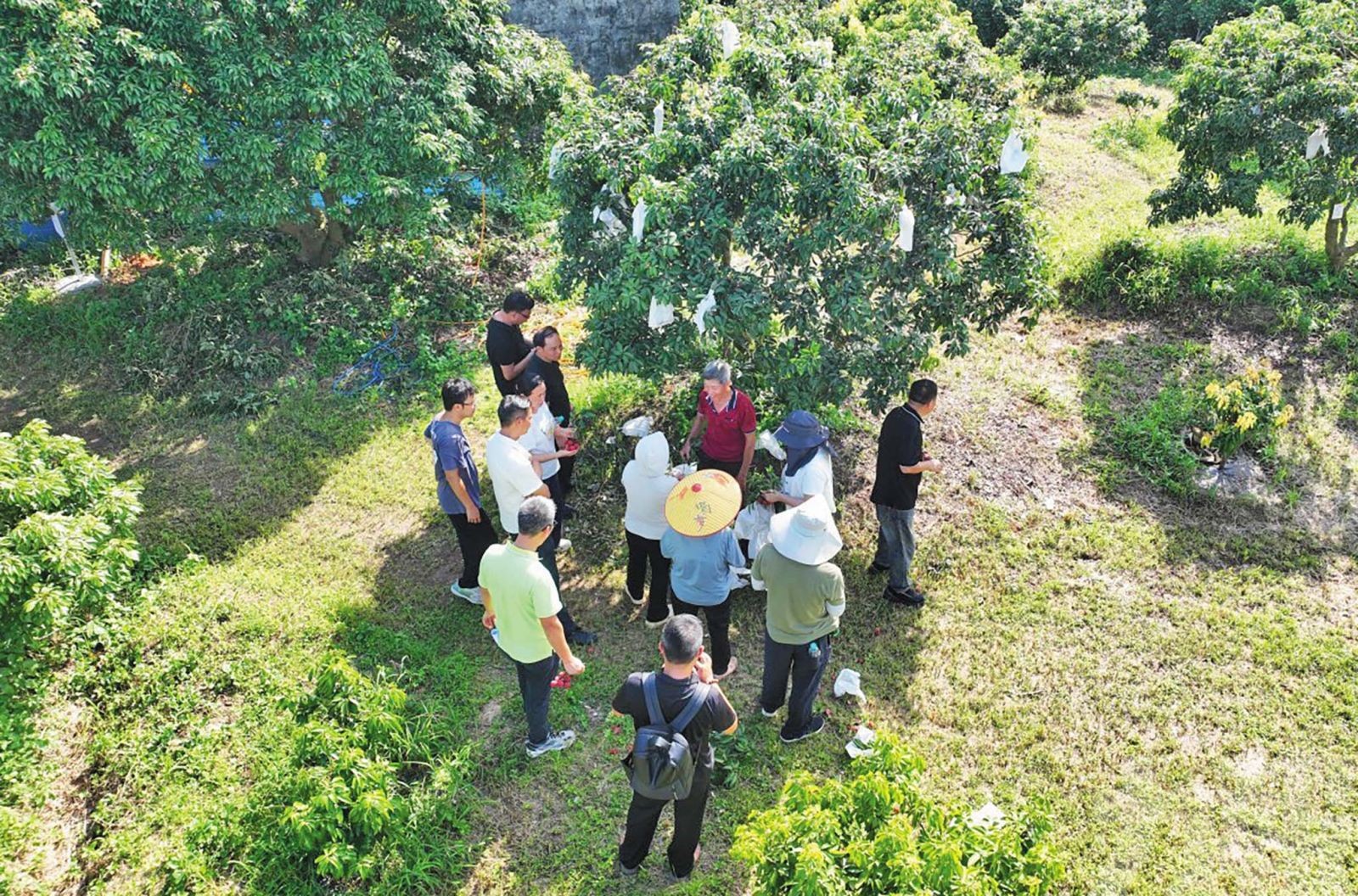 獲香港認證助攻灣區市場