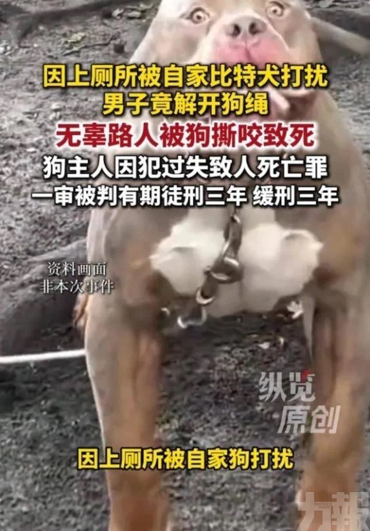 路人遭咬死狗主判緩刑