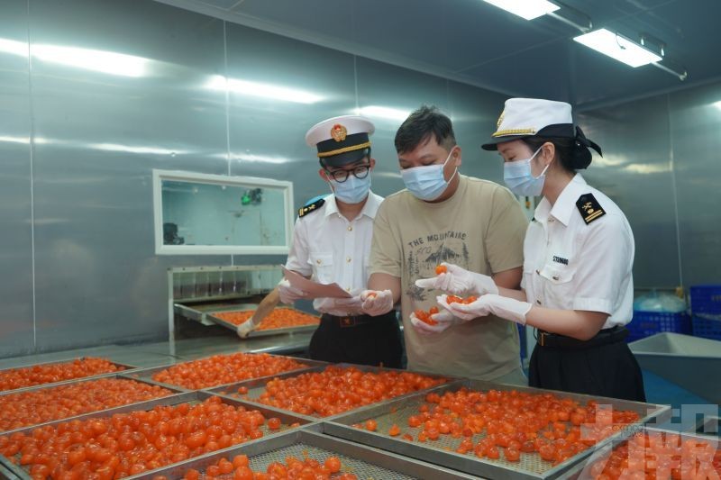 綠色通道助小商品打開灣區市場