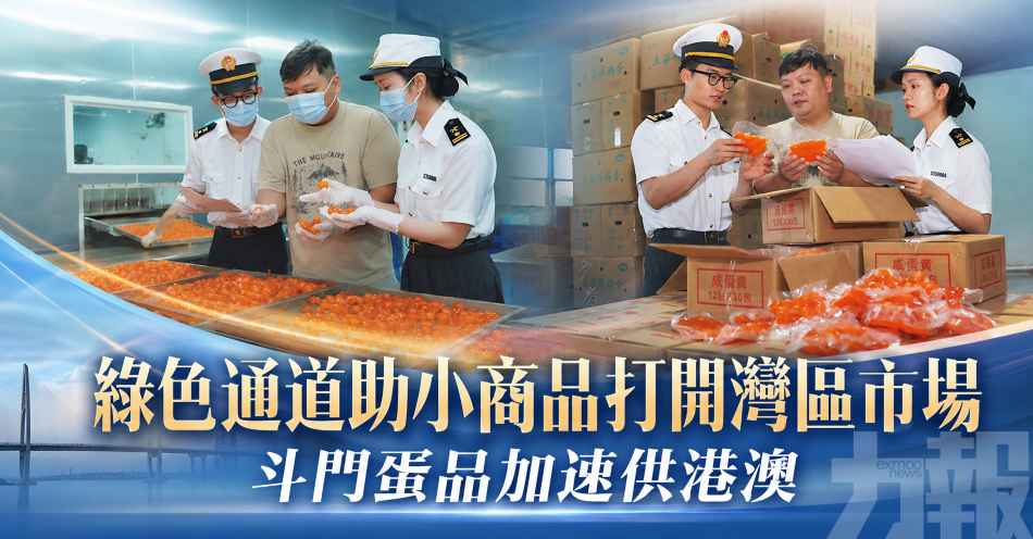 綠色通道助小商品打開灣區市場