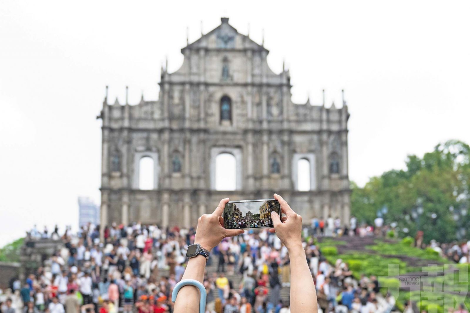 僅限澳門居民申請登記