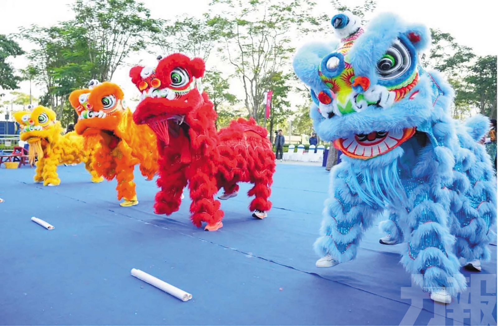 醒獅舞出民族團結情