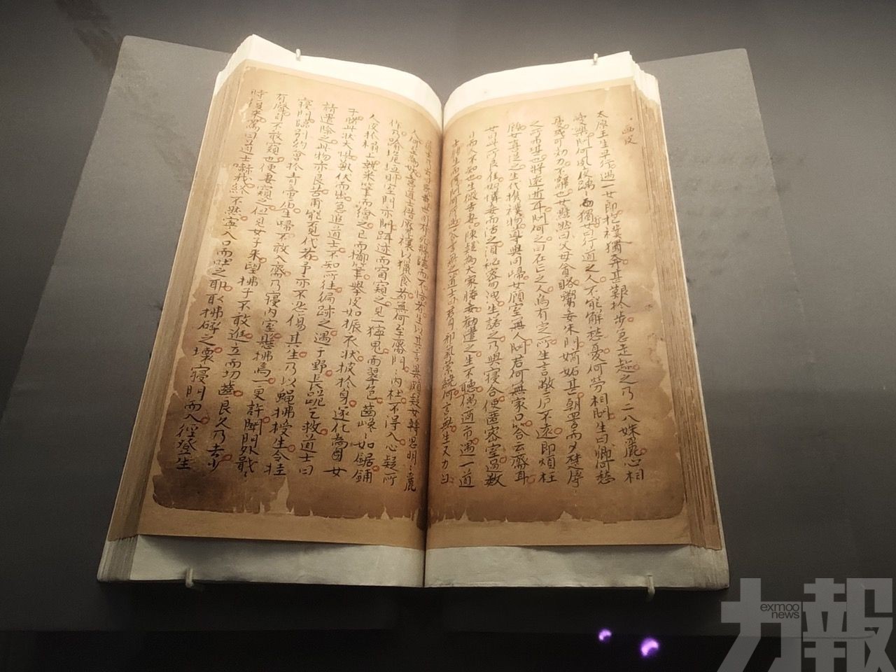 《聊齋志異》大展呈現原著與圖像對話