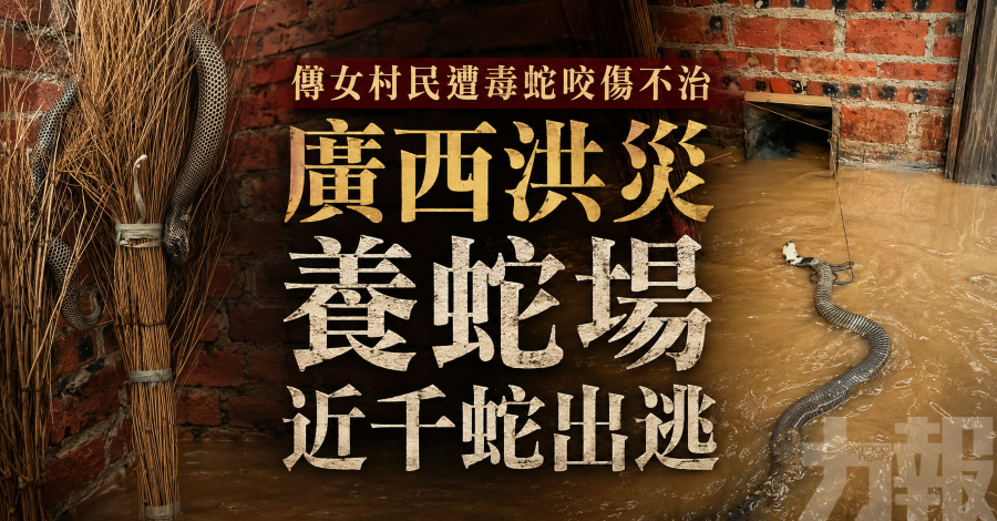 傳女村民遭毒蛇咬傷不治