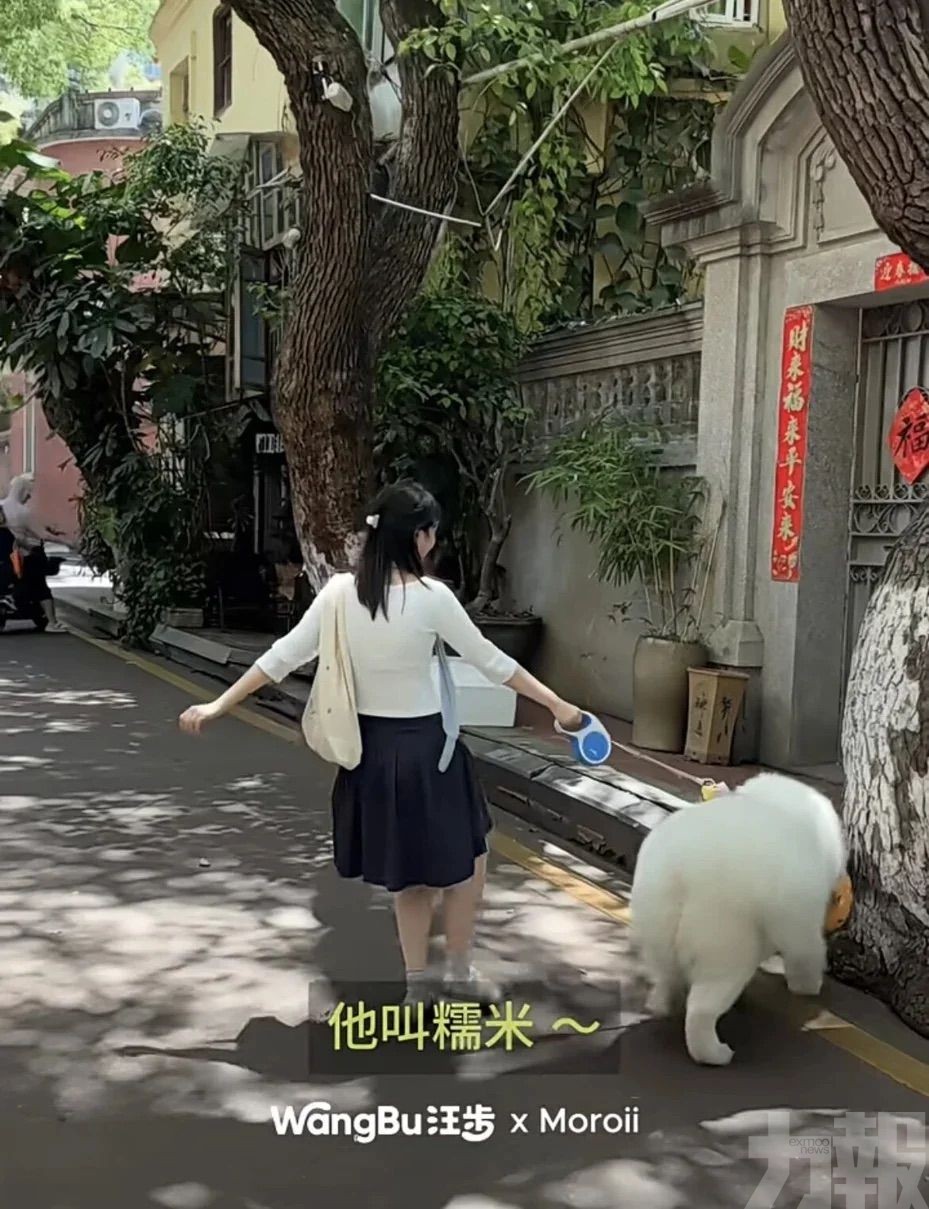 每小時最低5元付費遛狗