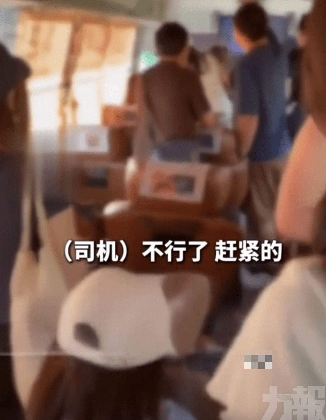 中國遊客合力控車上演生死時速