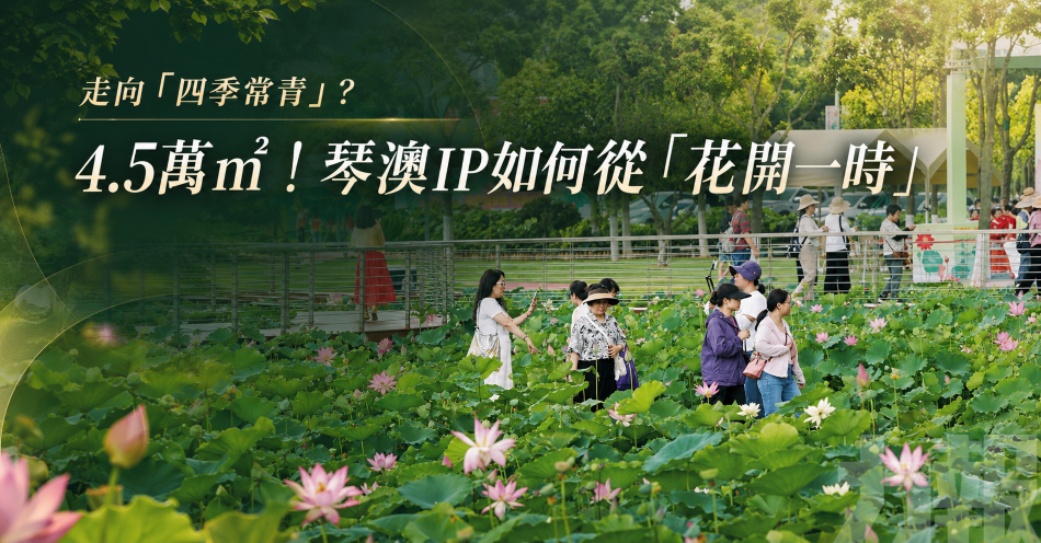 走向「四季常青」？