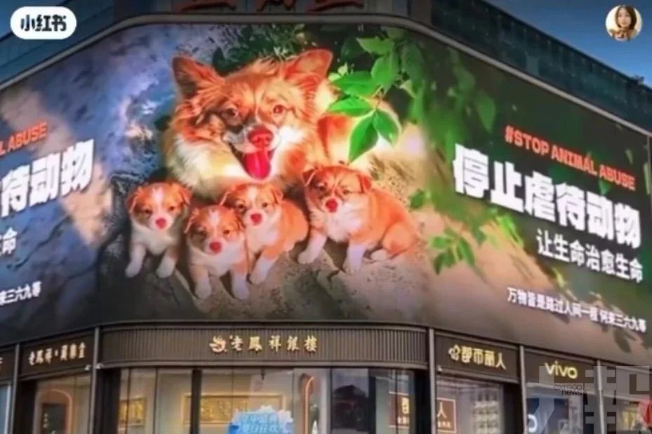 抵制行動掀連坐爭議