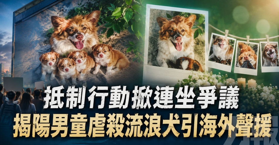 抵制行動掀連坐爭議